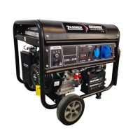 Бензиновый генератор Zammer S8500CXE фото