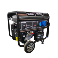 Бензиновый генератор Zammer S6500CXE переносной фото