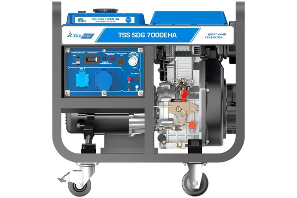 Дизельный генератор ТСС SDG 7000EH3A 100034 Дизельный генератор ТСС SDG 7000EH3A 100034 фото