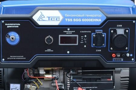 Бензиновый генератор ТСС SGG 6000EHNA фото