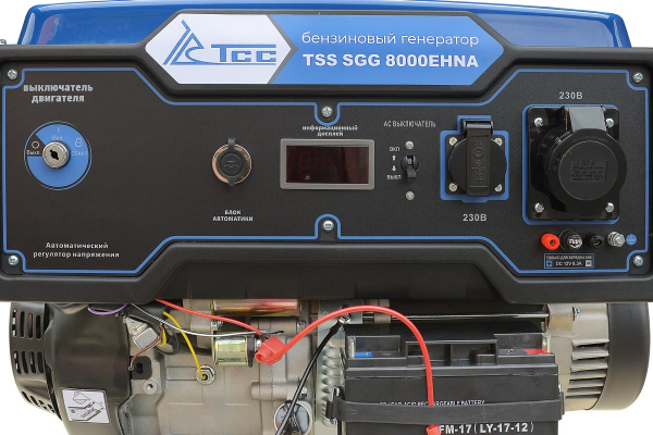 Бензиновый генератор ТСС SGG 8000EHNA в кожухе МК-1.1 стационарный фото