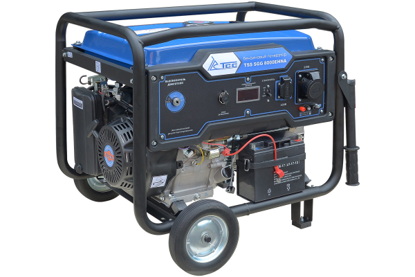 Бензиновый генератор ТСС SGG 8000EHNA в кожухе МК-1.1 для гаража фото